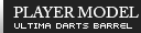 PLAYER MODEL